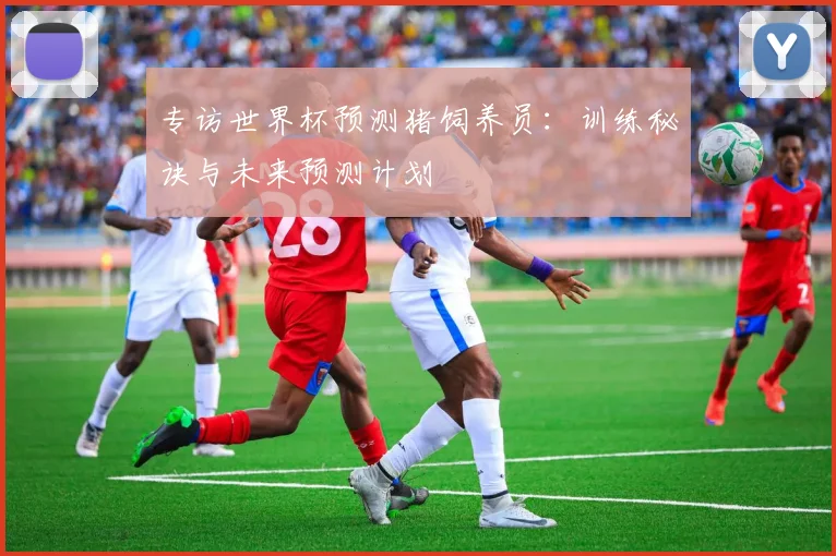 专访世界杯预测猪饲养员:训练秘诀与未来预测计划