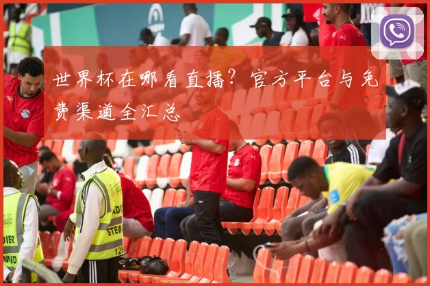世界杯在哪看直播?官方平台与免费渠道全汇总