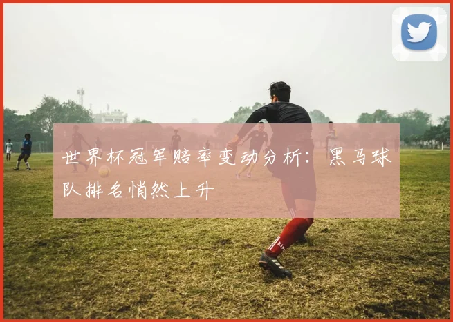 世界杯冠军赔率变动分析:黑马球队排名悄然上升