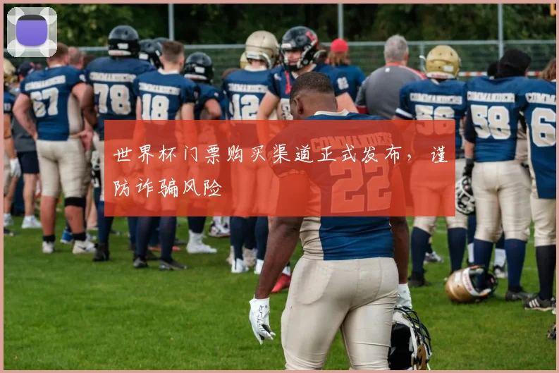 世界杯门票购买渠道正式发布，谨防诈骗风险