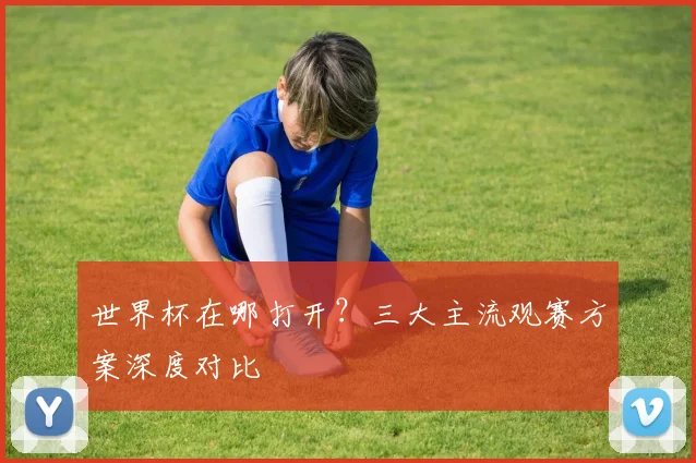 世界杯在哪打开？三大主流观赛方案深度对比