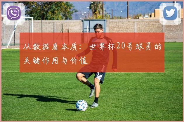 从数据看本质：世界杯20号球员的关键作用与价值